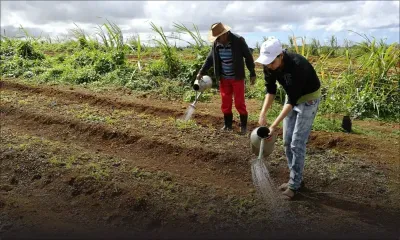 Rohit Digpaul : de l’ingénierie à la culture organique