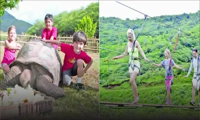 Summer School Holidays : Let the fun begin