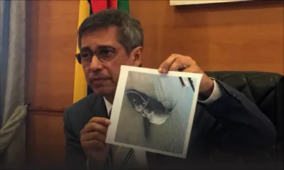 Présence de requins dans notre lagon - Aquaculture : Xavier-Luc Duval tire la sonnette d’alarme