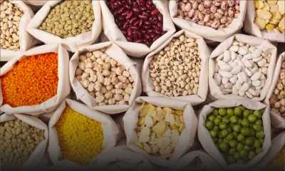 Hausse du prix des grains secs d’ici un mois