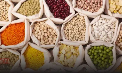 Hausse des prix  de plusieurs grains secs