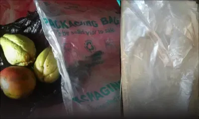 Protection de l’environnement: des sacs non biodégradables écoulés sur le marché