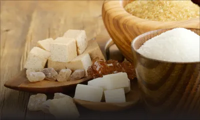 Opportunités pour les opérateurs mauriciens - Afrique: où investir et dans quels secteurs ?