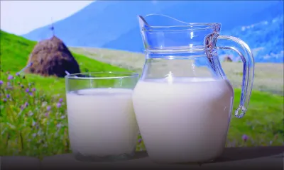 Journée mondiale du lait 20 600 tonnes de lait consommées en 2016