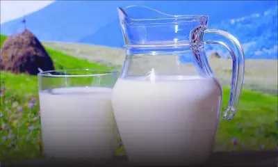 Lait frais : la production locale plafonne autour des 2 millions de litres