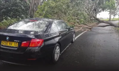 Olivia : un arbre tombe sur la route juste après le passage de la voiture de Fazila Daureeawoo