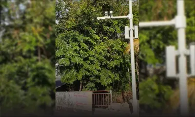 Les chauves-souris dans l’œil de Safe City ?