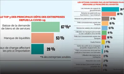 Étude de Business Mauritius/Statistics Mauritius : 41 % des entreprises sondées ont moins de 3 mois de trésorerie