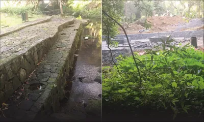 Travaux au Jardin botanique de Curepipe : la mobilisation s’accentue 