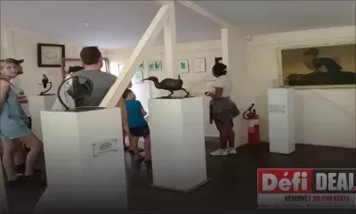 Île-aux-Aigrettes : le fruit d’un travail de conservation