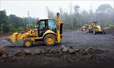 Travaux à Grand-Bassin : pour chaque arbre abattu, trois autres seront plantés
