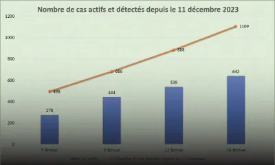Épidémie de dengue : entre 50 et 80 nouveaux cas chaque jour