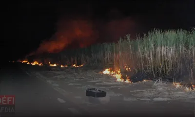 1 200 hectares de cannes à sucre brûlés en 2020 : «Aret Bril Kann !» une campagne lancée par Terra 