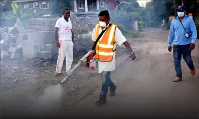 Épidémie - Dengue : 35 cas à Maurice