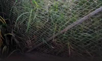 Insalubrité : un terrain de la WMA gêne une habitante de Bambous