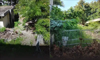 À Vallée-Pitot : un terrain en friche qui fâche