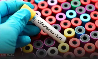 Chikungunya, dengue…Dérèglement climatique : alerte moustiques !