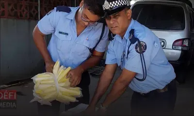 Police de l’Environnement : 11 400 sacs en plastique saisis et 13 contraventions dressées