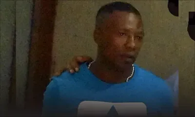 Jugés coupable de vol : ils transportaient un bœuf et une génisse dans une voiture