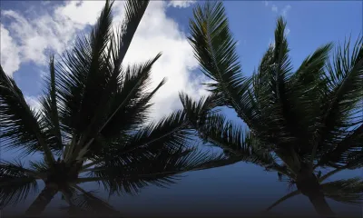 Indicateurs : les arrivées touristiques en avril passent à zéro, ou presque