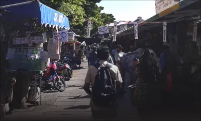 Marchés du pays : est-ce vraiment le bazar ?