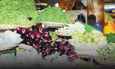 Mercuriale - Légumes : les prix bas jusqu’en septembre