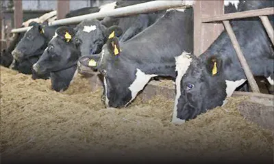 Cooperative societies Breaking new grounds