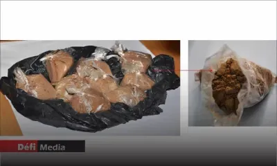 Rs 13 millions d’héroïne déterrées à Goodlands : la pureté de la drogue inquiète les enquêteurs 