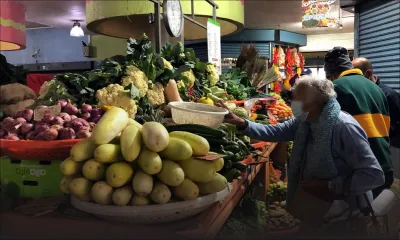 Prix des légumes - La tendance à la baisse : les consommateurs retrouvent le sourire