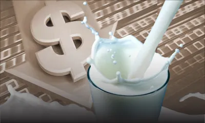 Taux de change : la faiblesse du billet vert fait baisser les prix du lait