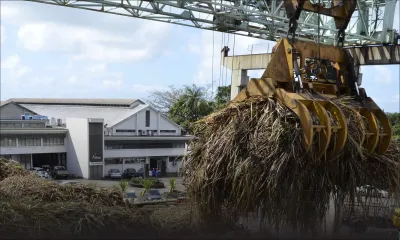 Sugar Investment Trust: Des coûts additionnels de Rs 40 M font polémique