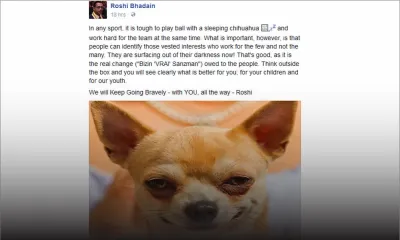 Sur Facebook : Le «sleeping chihuahua» de Roshi Bhadain