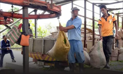 Consommation : 200 tonnes de thé en moins sur le marché