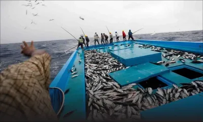 Assurance de Rs 25 millions sur des bateaux de pêche : des frais additionnels de Rs 100 000 à Rs 250 000 par an