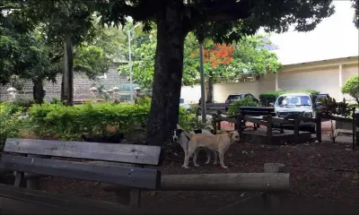 Patrimoine négligé : le jardin des Salines laissé à l’abandon