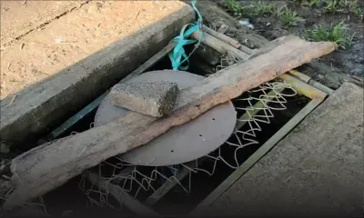 Sécurité au Jardin Balfour : des usagers tirent la sonnette d’alarme