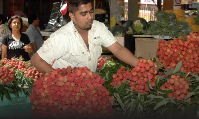75 % de letchis en moins cette année