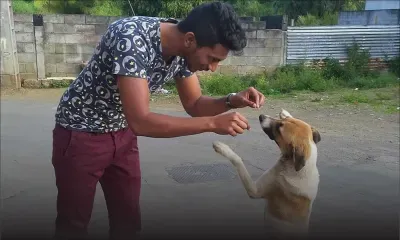 Porte-parole de La Meute de Zion : Abeenesh Mottay pour la cause des chiens