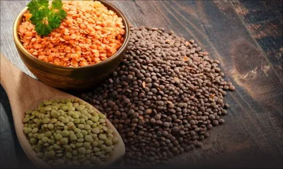 Consommation : certaines marques de dholl et de lentilles coûteront plus cher en février 