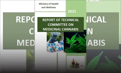 Comité technique sur cannabis médical : le public invité à commenter le rapport 