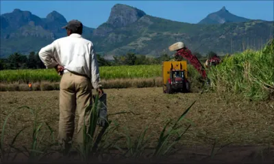 Remuneration Orders : tout ce qu’il faut savoir 