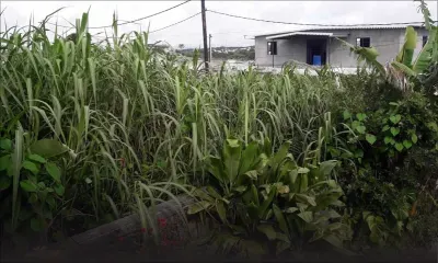 Camp-Caval, Curepipe : un terrain en friche appartenant à la CWA devient un repairepour les malfrats