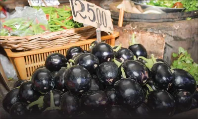 Des actions prises pour rétablir la situation 