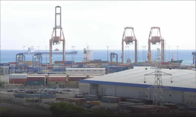 L’exportation ne se relèvera pas cette année