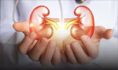 Kidney Health : keeping this precious organ in good shape