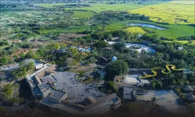 Sugar Investment Trust : le conseil d’administration paralysé