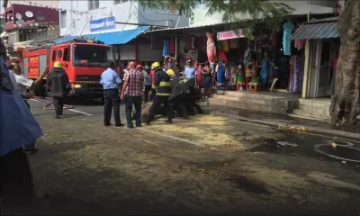 Arbres dangereux sur la route: la négligence des autorités concernées ?