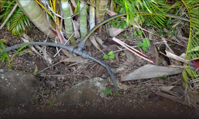 Central Water Authority : un horticulteur détourne 13 M de litres d'eau