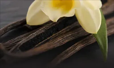 5 astuces avec de la vanille