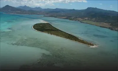 Drame à l’Île-aux-Bénitiers : un Allemand se noie en voulant admirer les dauphins